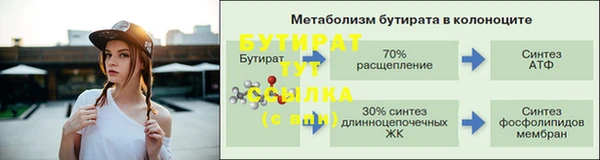 индика Беломорск